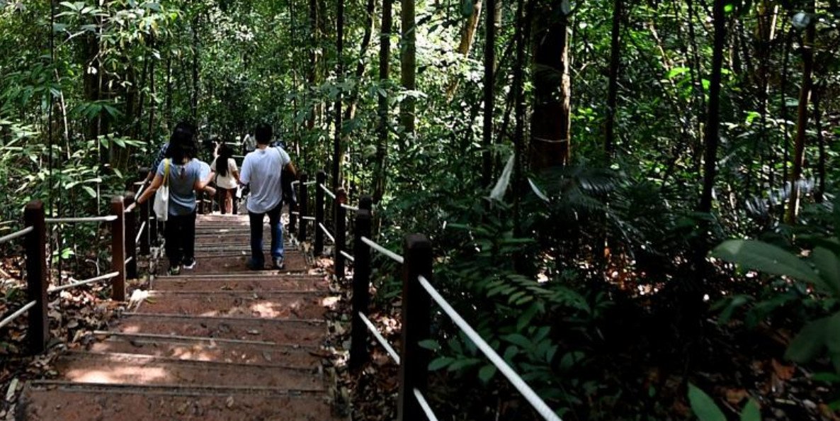 The Reserve Residences Near Upper Bukit Timah Proposed Mixed-use Sevelopment